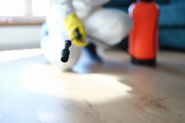Best Mold Prevention Services  in Central City, NE