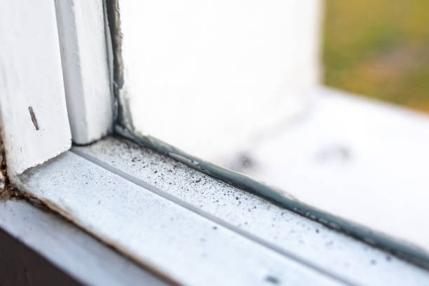 Best Dehumidification Services  in Central City, NE