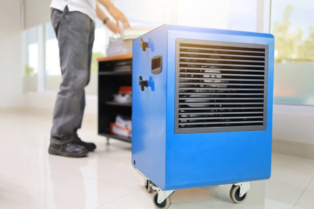 Best Mold Odor Removal Services  in Central City, NE